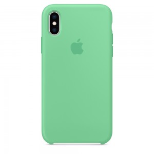 Capa De Silicone Para Iphone Xs Hortelã Img 01